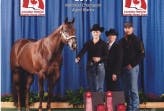2011 Canadian National Open and Amateur Aged Mare