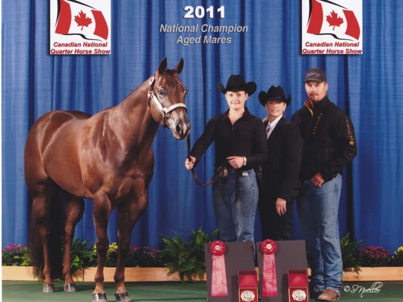 2011 Canadian National Open and Amateur Aged Mare