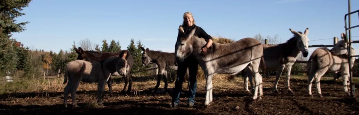 Kim with the Donkeys