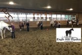 Eagle Hill Equine Fun Show--APHA classes