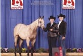 Sirtainly Smooth wins at the Canadian Nationals