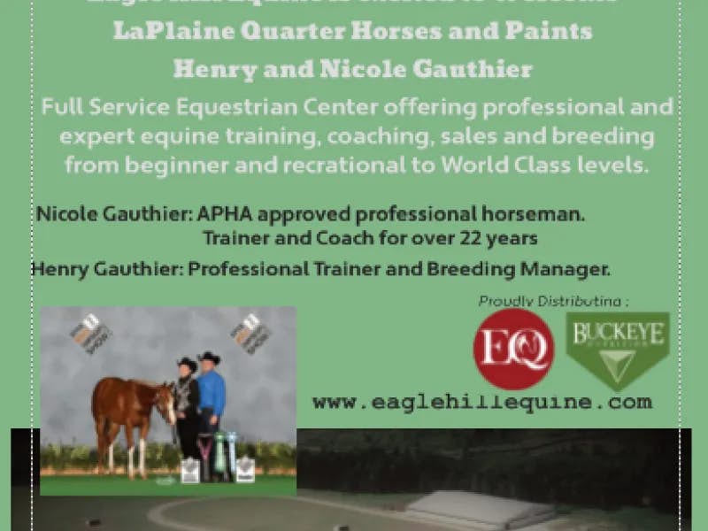 Welcome LaPlaine QH and Paints