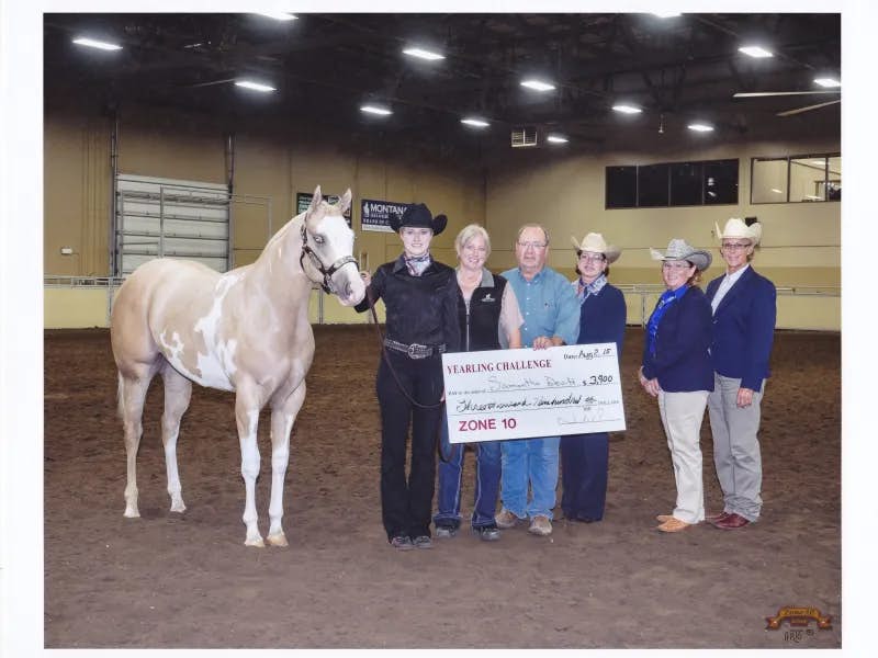 Fellas Sirtian Lily wins APHA Zone 10 Yearling Challenge Triathalone Challents